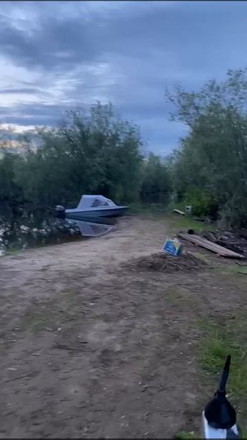 Поход к ленским столбам в ожидании Михаила смотреть онлайн