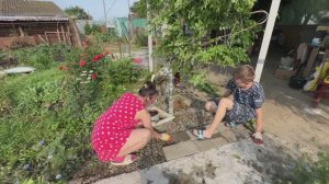 УТРО в ДЕРЕВНЕ / Кладем плитку / Напали улитки / Работа на участке