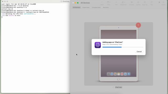 Извлекаем .ipa приложения из App Store (macOS). смотреть онлайн