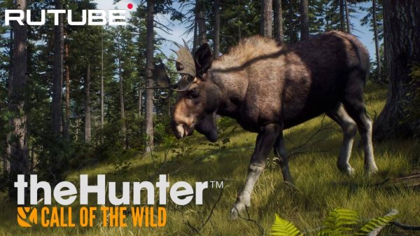 Охота в удовольствие | TheHunter: Call of the Wild™