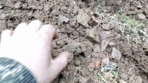 Как мы барский дом искали. Продолжение. #equinox #эквинокс