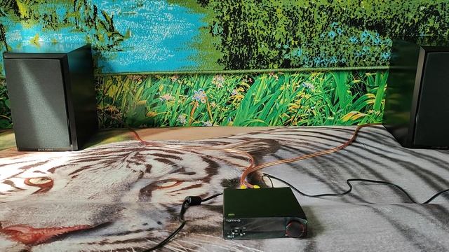 HiEnd усилитель Topping PA5 II + Dynaudio Emit M10