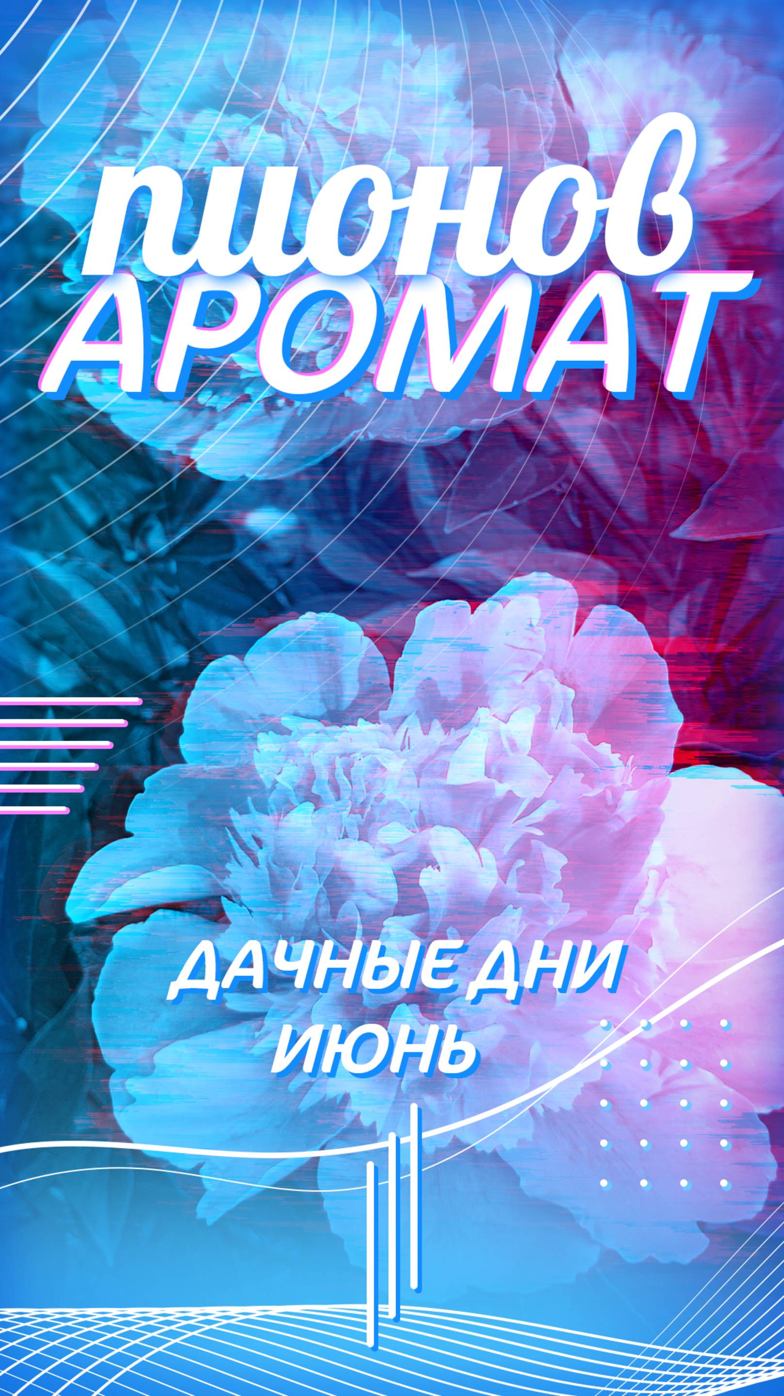 На даче распустились пионы🌸🌺 смотреть онлайн