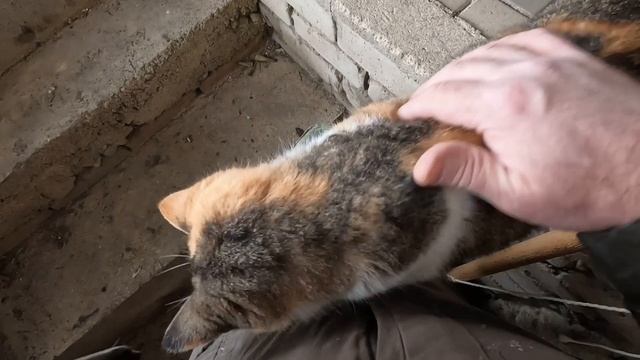 Краснодарский край(13.01.2025). Ремонтирую аккумуляторный