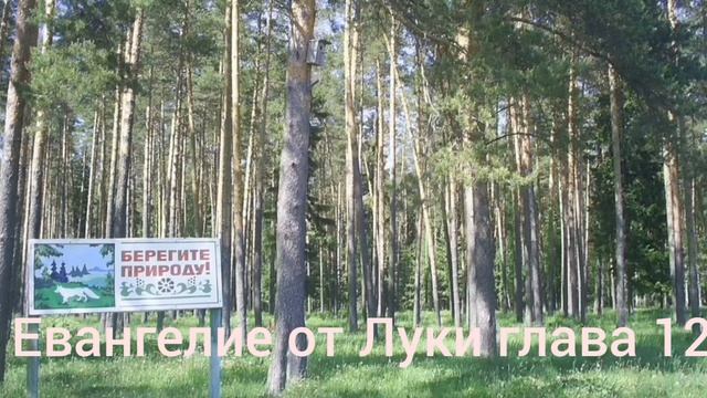 Библия Евангелие от Луки глава 12 смотреть онлайн