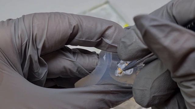 Как сделать и как закрепить. Цветы гелем с помощью мол?