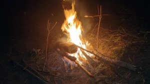 Рыбалка с ночёвкой. Отличный улов. Жареная картошка с мясом и чай с смородиной и малиной.