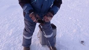 ЭКСТРЕМАЛЬНАЯ РЫБАЛКА В АНТАРКТИДЕ! Прогулки По Антар