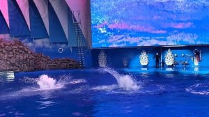 Дельфинарий. Приморский океанариум. остров Русский.