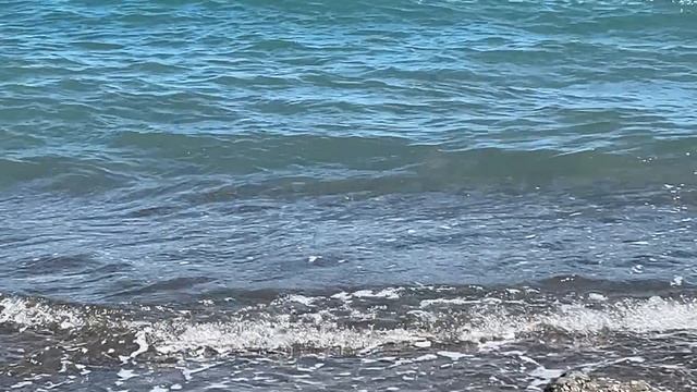 Ялта. Приморский пляж. Любимое синее море... Цветение. 28.05.2025. Крым. Crimea. Yalta. смотреть онлайн