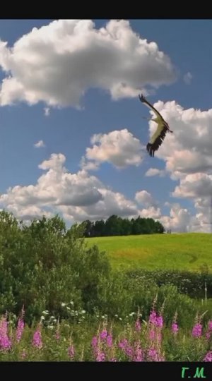 Песня о России