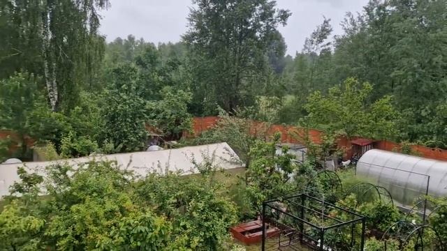 Вот такие два сюрприза. Навожу порядок в доме. смотреть онлайн