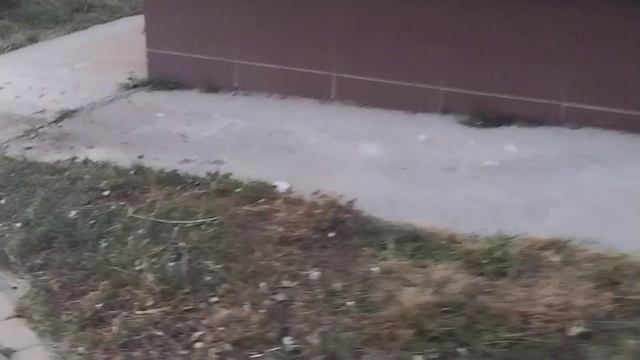 Вот такой срач в Горгипии 2 3 дом, дворник есть вообще?