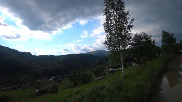 VLOG: к нам привязалась немецкая овчарка по кличке Макс