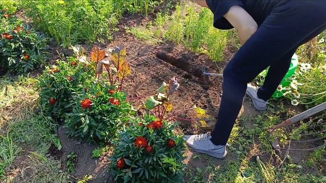 Освежила цвет 💇♀️Реанимирую замик 🌱Так себе карт