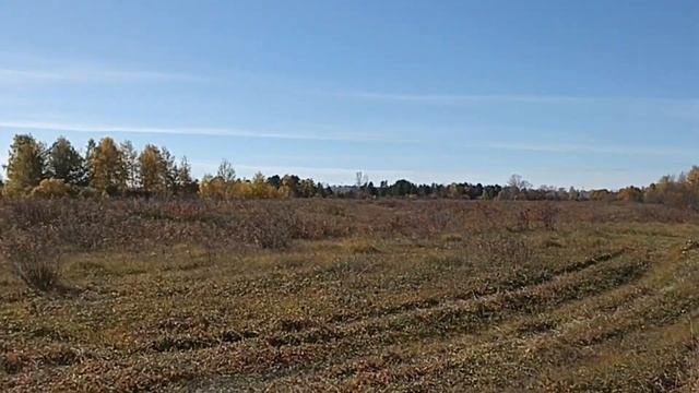 За Волгой. Новочебоксарск. Музыкальная прогулка. 6 окт?