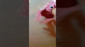 бумажные собаки ♥️🥰 обустройка домика 2