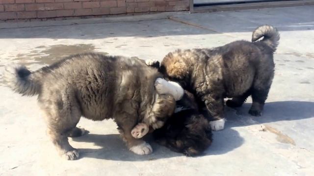 Изображение 1124