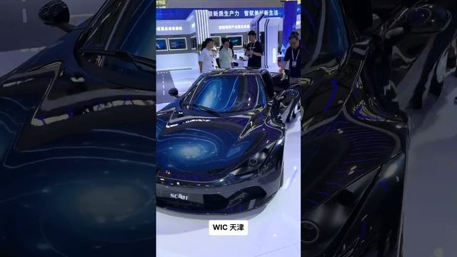 Всемирная выставка интеллекта в Тяньцзине 2024 Ведущий