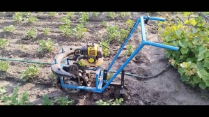 Мото - окучник и пропольник в работе