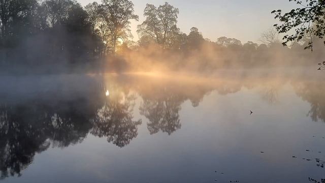 Медитация ИЗБАВЛЕНИЕ ОТ ДЕНЕЖНЫХ БЛОКОВ | Отношения с