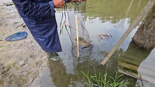 13.06.25 г. Парк отдыха водопад смотреть онлайн