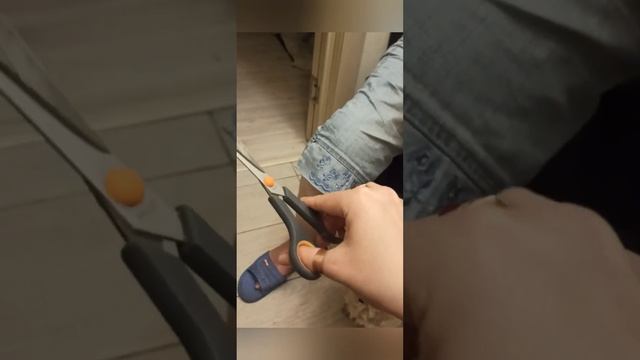 ☀️Подстригли Харлюшку своими руками(ножницами) 🥰🐕