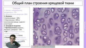 Хрящевые ткани за 25 минут