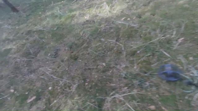 Живой коп. Серебро, Был рубль, а стало кусок серебра. Live