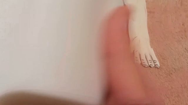 обзор на бумажного Реборна😁😄