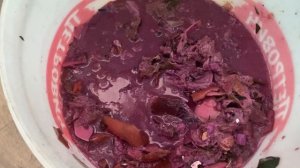 Барматуха Дзамболата Кундухова для улучшения плодородия земли.