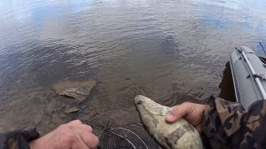 Летняя рыбалка на резинку 8.06.2025