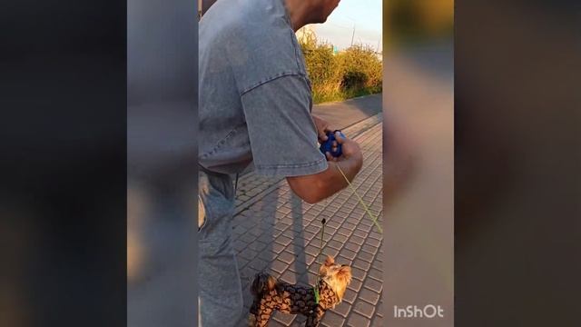 очень жарко. + 34.