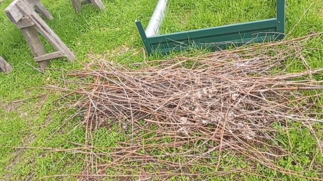 Первый обзор на огород в сезоне 2025 года.