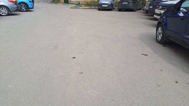 Много дел. Налоговая. Присмотрела сумку в Zolla