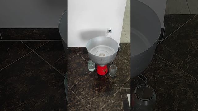 Сепарирование козьих сливок 19 апреля 2025 г.