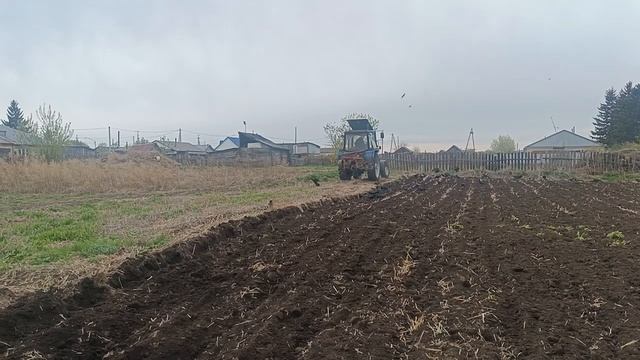 Пашем огород на мтз 82.1 2х корпусным плугом. Май 2025год смотреть онлайн