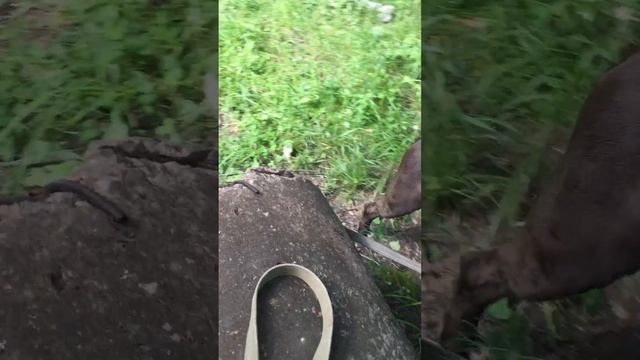 Кромвель смотреть онлайн