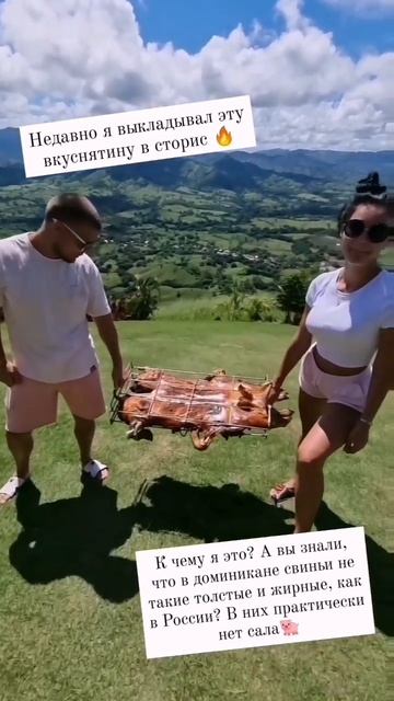 А вы знали, что свиньи в Доминикане не такие толстые и жирные, как в России? смотреть онлайн