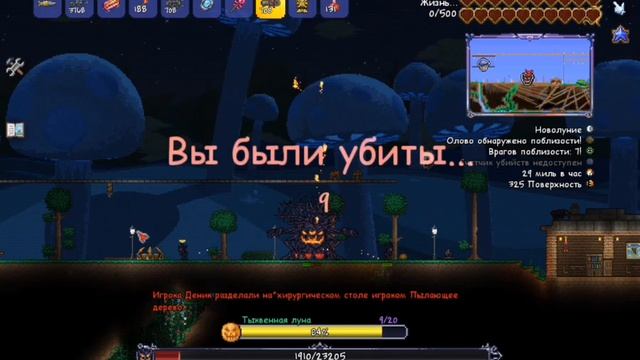 ТЫКВЕННАЯ, МОРОЗНАЯ ЛУНА и КУЛЬТИСТ в ТЕРРАРИИ на МАСТ смотреть онлайн