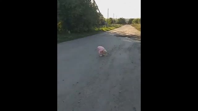 Почему мы так долго идём домой, это виноваты маленькие смотреть онлайн
