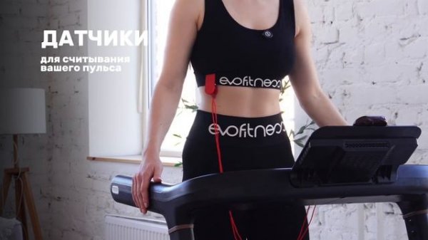 ОБЗОР БЕГОВОЙ ДОРОЖКИ EVO FITNESS JET