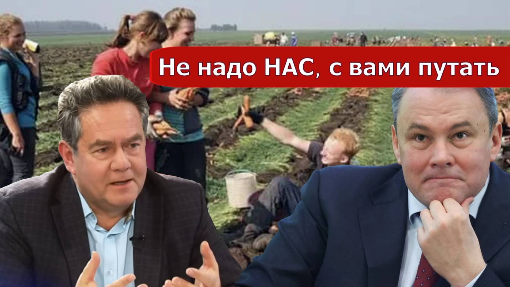 Николай Платошкин о ЗАЯВЛЕНИИ Петра ТОЛСТОГО_ смотреть онлайн