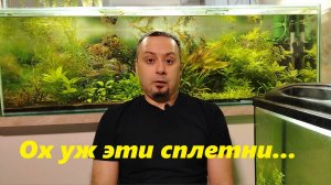 Сплетни и факты