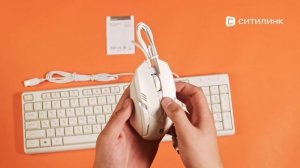 Обзор Комплекта (клавиатура+мышь) Defender Motion C-977 | Ситили?