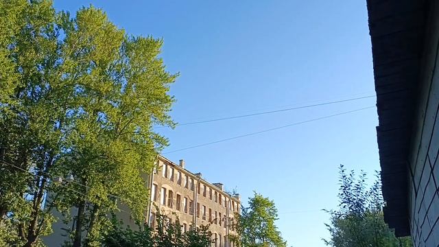 2024.09.09. Погода Петербург. 08:00. +17°. Прохладно. День лука.