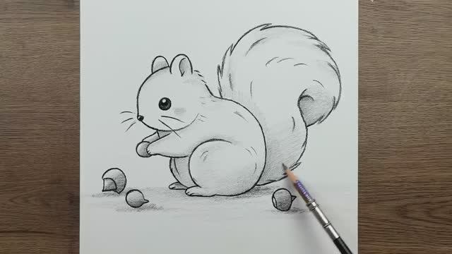 Как нарисовать милую белку шаг за шагом карандашом смотреть онлайн