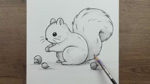 Как нарисовать милую белку шаг за шагом карандашом