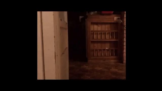 ЭВОЛЮЦИЯ АНАЛОГА, ЦИФРОВОЙ ХОРРОР (REMIABODE,BIONET,MISSING)