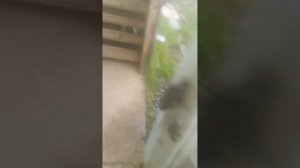 Гидроперит! Откручиваем шпильки двс 402